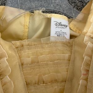 Disney princess dress